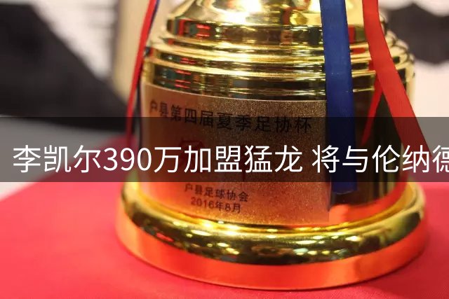 李凯尔390万加盟猛龙 将与伦纳德重聚征战第13个赛季