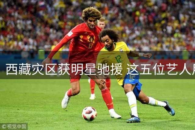 西藏灾区获明星驰援 这五位艺人用行动诠释榜样力量